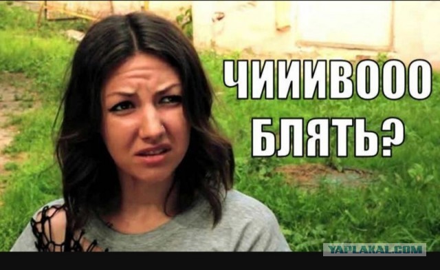 Ку-ку, человек!