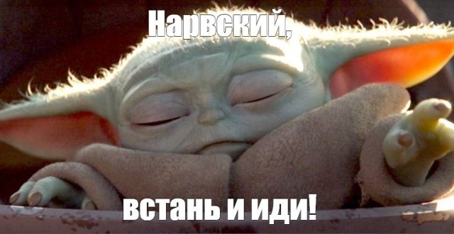 Всем бобра!