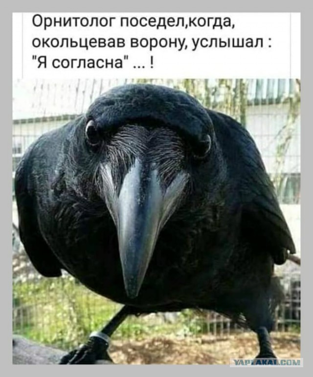 Почему мужчины не хотят идти в ЗАГС?