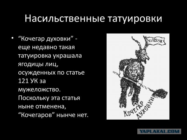 «Неловко как вышло…»: улётная переписка с учительницей сына