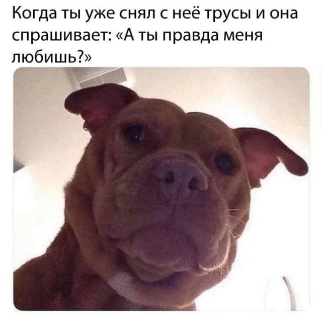 Алло, Аллочка, тут полная бесовщина и деградация!