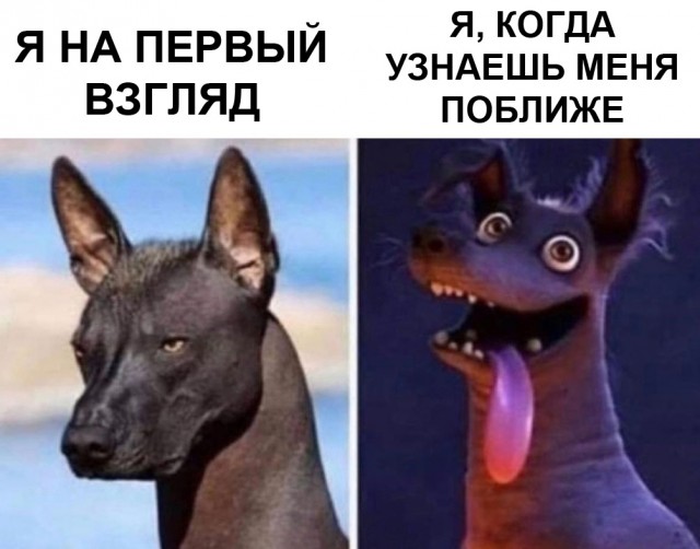Кретинизмы из сети 01.03.21