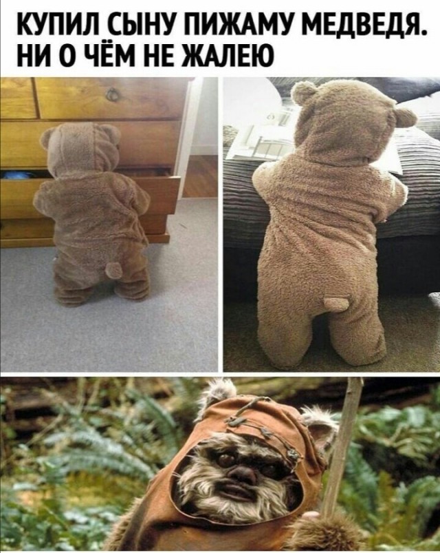Весёлый полтишок 31.03