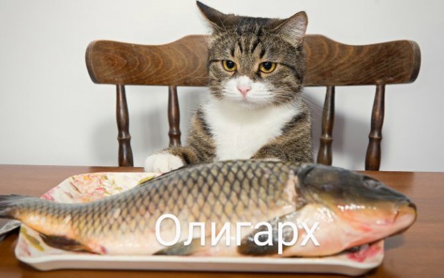 Картинки и мемы для настроения 05.08.2021