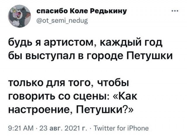 Картинки и мемы для настроения