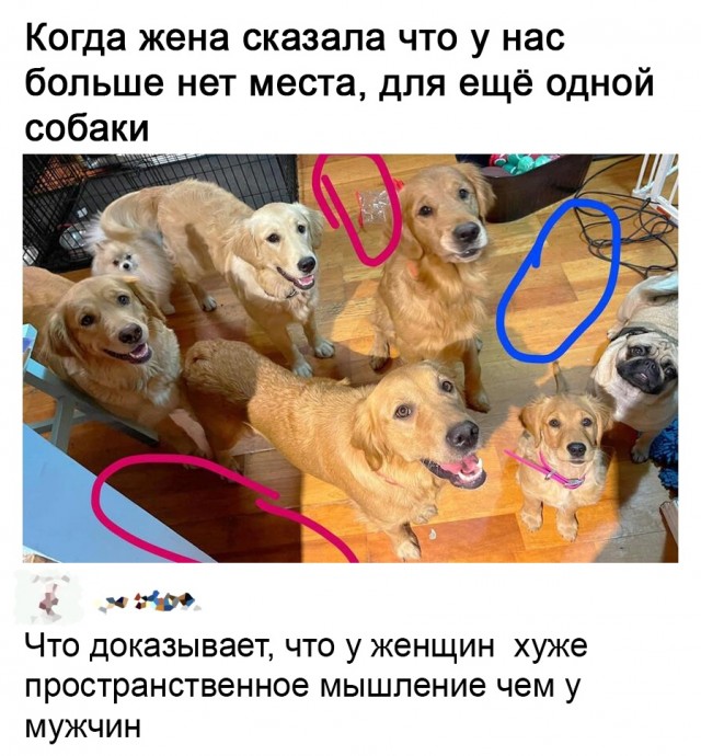 Чуток картинок 04.03.22