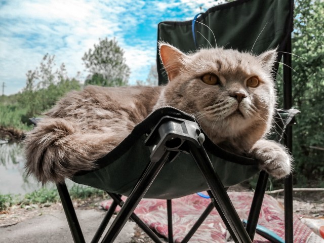 Персик, с днюхой!