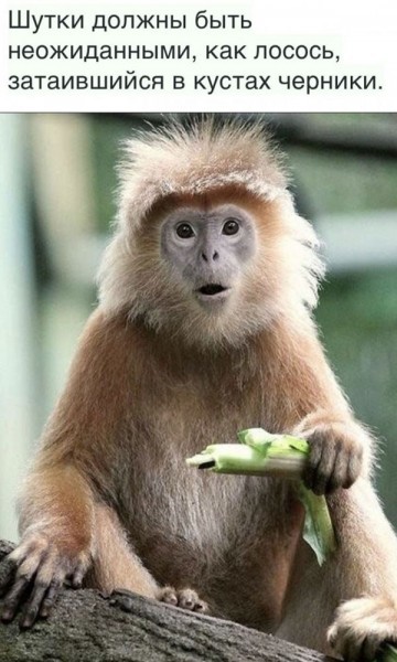 Пятница. Вечер. Картинки всякие... #3