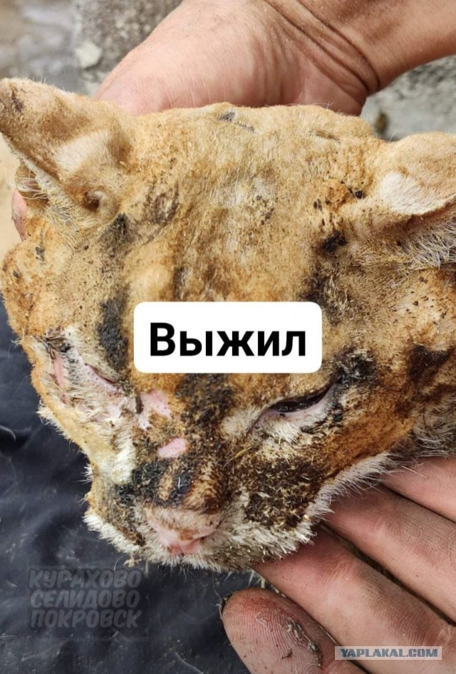 Немного истории в фото 12.08.2022