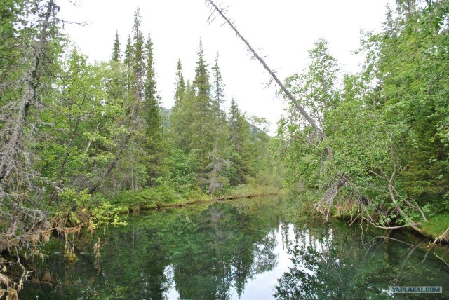 Трекинг по Ловозерским тундрам