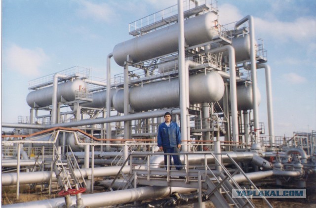 С Днём нефтяника!