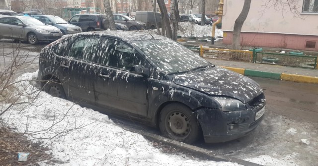 Почему собачники не убирают за своими питомцами?