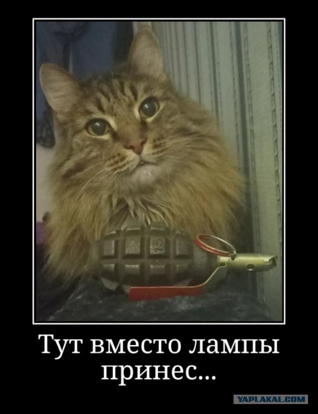 Как я стал куколдом "поневоле"