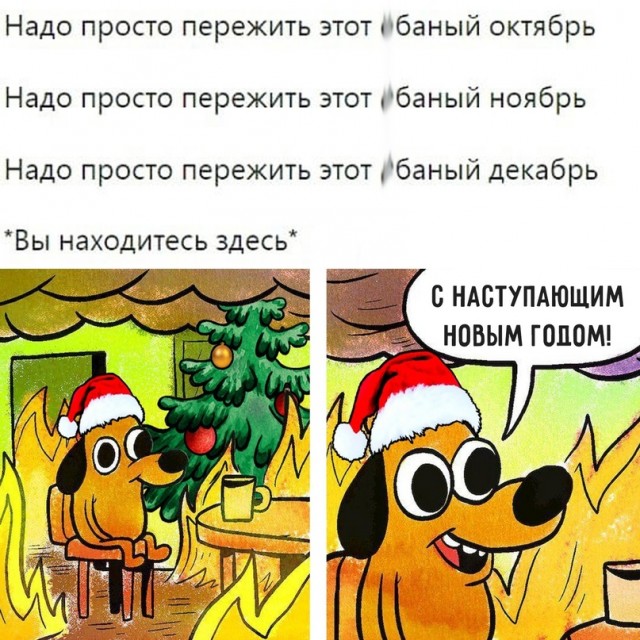 Картинки и мемы для настроения - 125