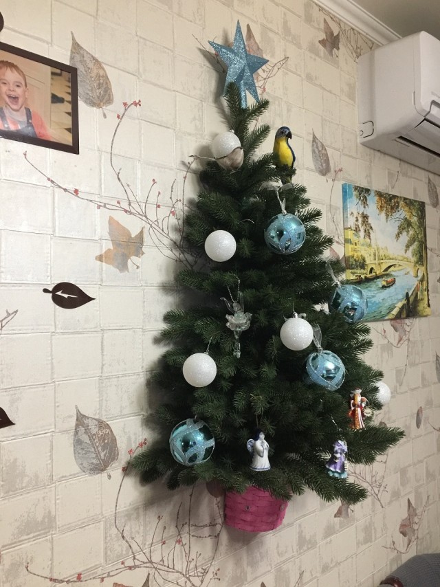 Выкладывайте свои елки!
