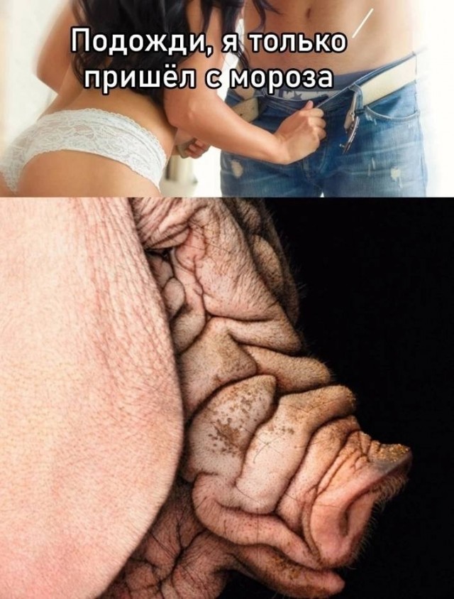 Всего понемногу. Часть 12.