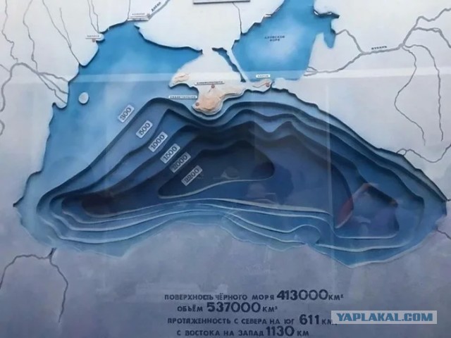Нашли птичку?