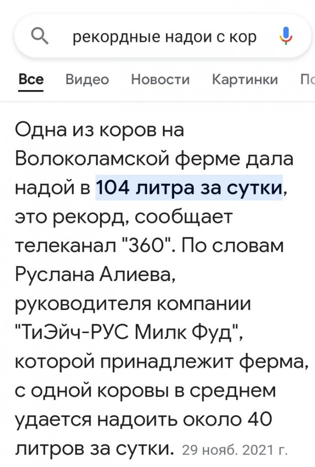Факты про коров, коллеги
