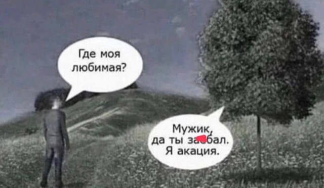 Так себе картинки 11.06.23