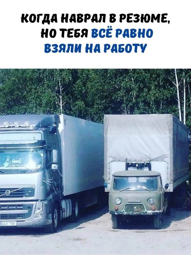 Так себе картинки 17.08.23