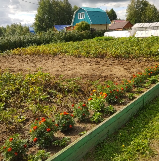 «Я могу быть невинной хоть сто раз». Капсулы девственности покорили Азию