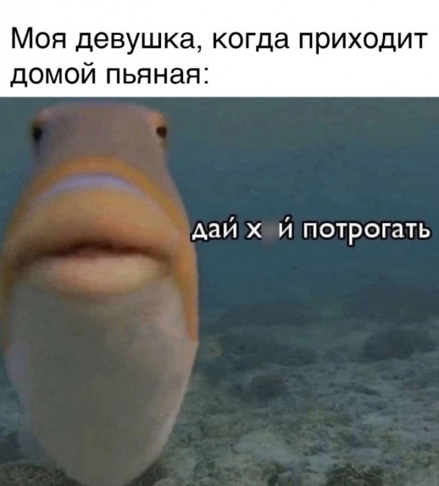 Всего понемногу. От 19.10.23