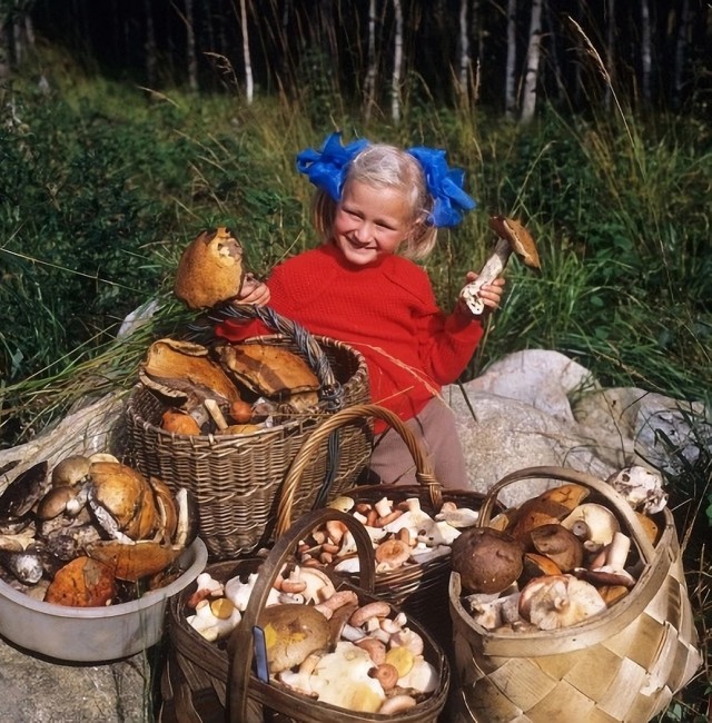 Фотографии из прошлого.