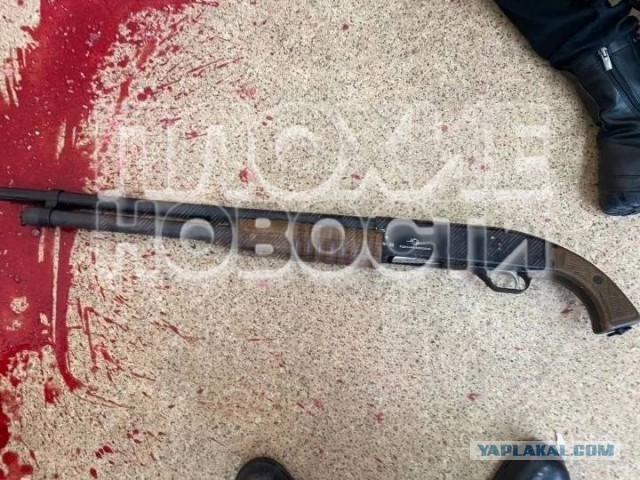 Школьница устроила стрельбу в брянской школе
