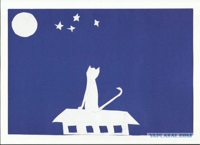Котовторник 30.04.2013