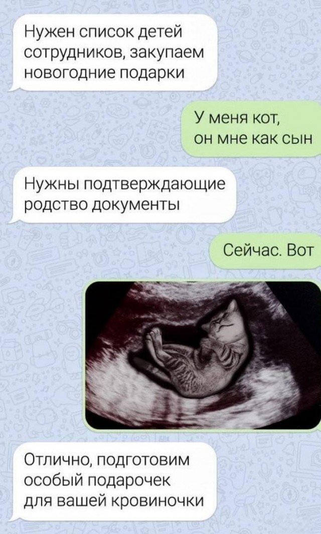Нуштош 29.12.2023