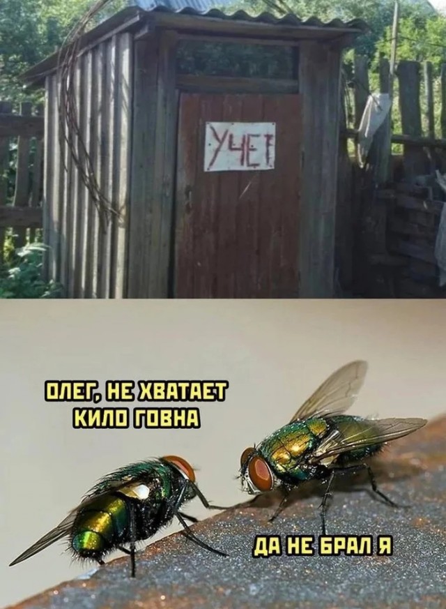 Отряд быстрого деградирования