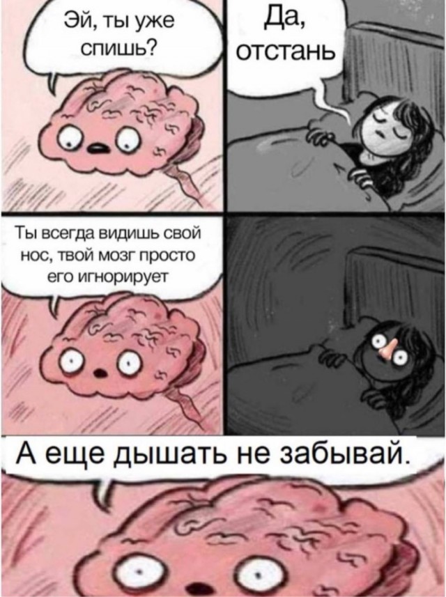 Немного забавных картинок от 05.08.24