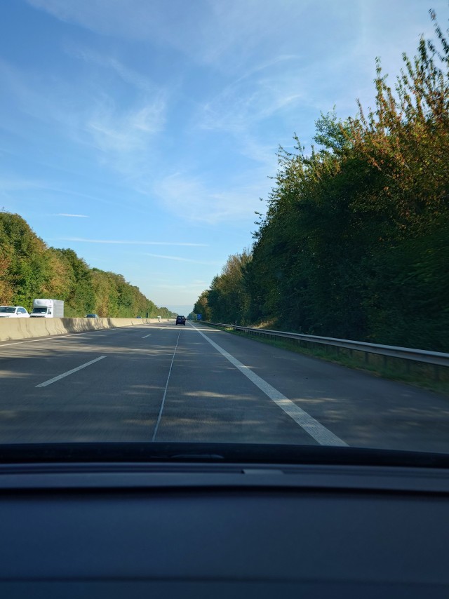 Яблоки. В ФРГ