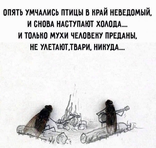 Быстрая деградация. Номер 7