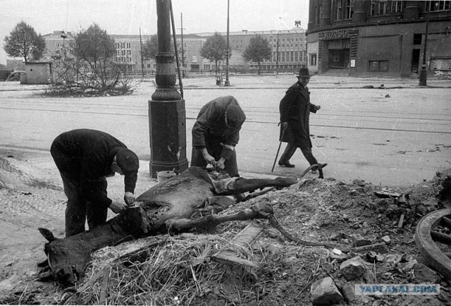 Дорогами войны ... (текст + 100 фото)