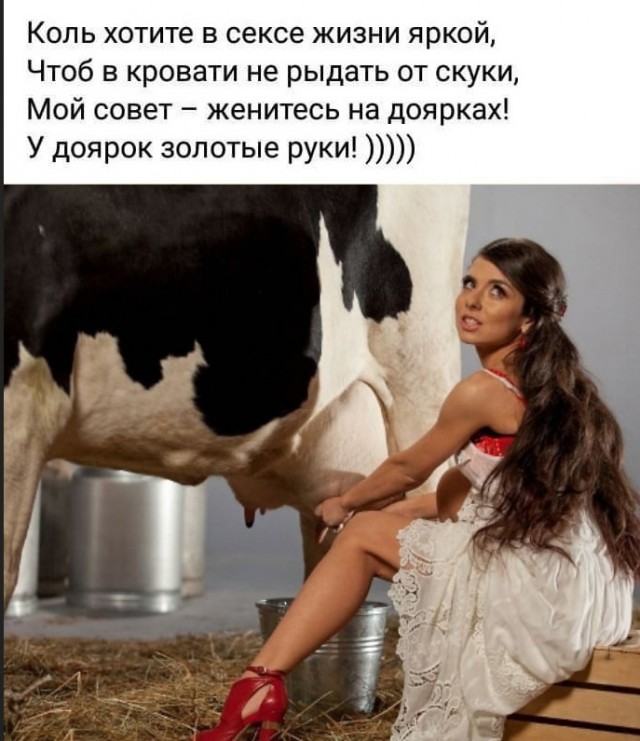 Так себе картинки 17.10.24