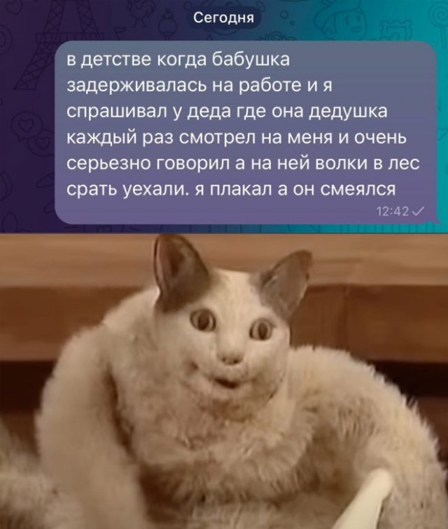 Так себе картинки 23.11.24