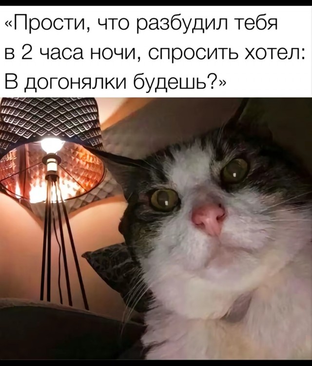 Так себе картинки 27.11.24