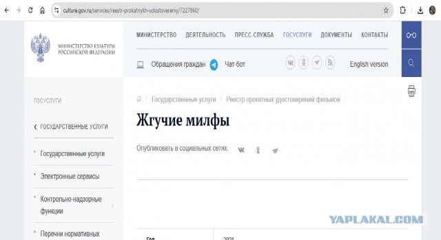 Минкульт РФ одобрил показ порно в онлайн-кинотеатрах