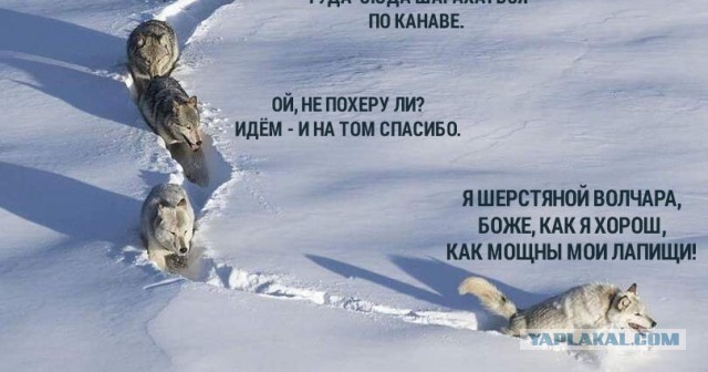 Бросила и пошла
