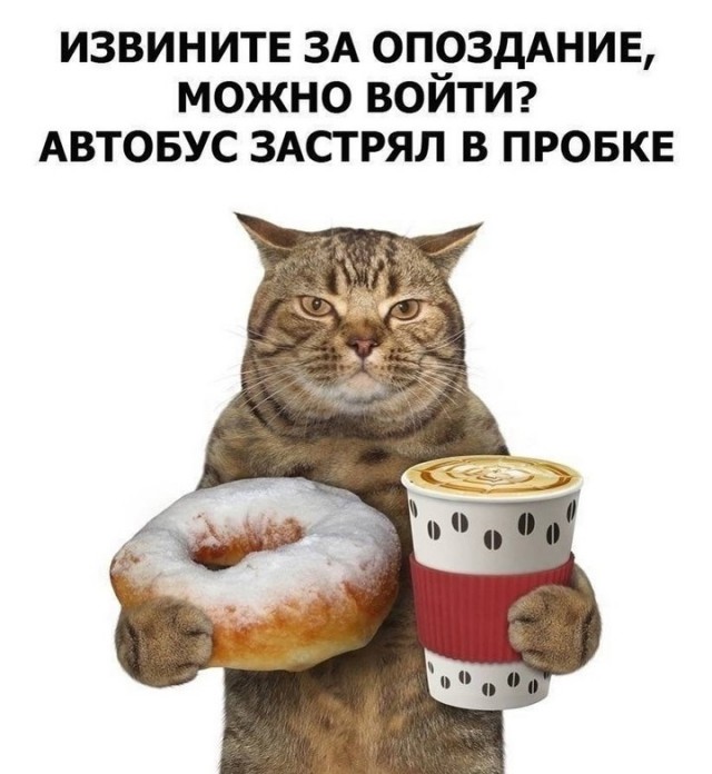 К котовторнику: подборка картинок-баянов с котиками и про котиков. Выпуск 6