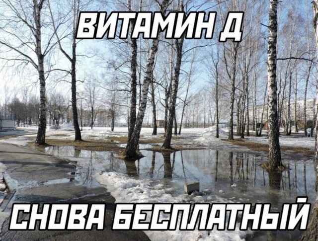 Так себе картинки   "Финал"