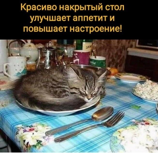 Прикольные и просто красивые картинки 16.05.2025