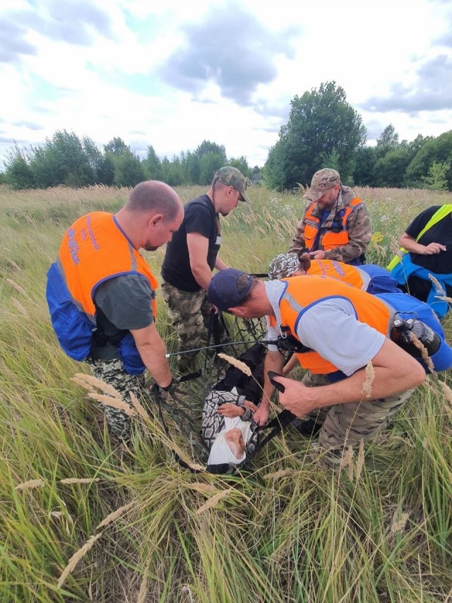 Пропавшую 110-летнюю нижегородку нашли живой в лесу спустя 3 дня