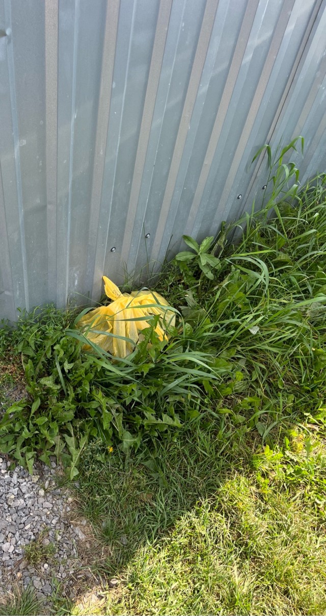 Подбросили, сволочи))))))