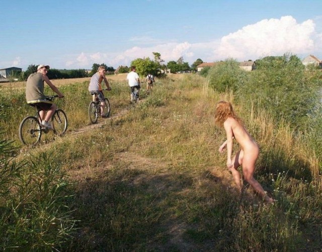 Просто лайтовая дичь