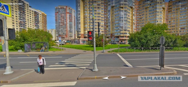 Водятлы в СПб