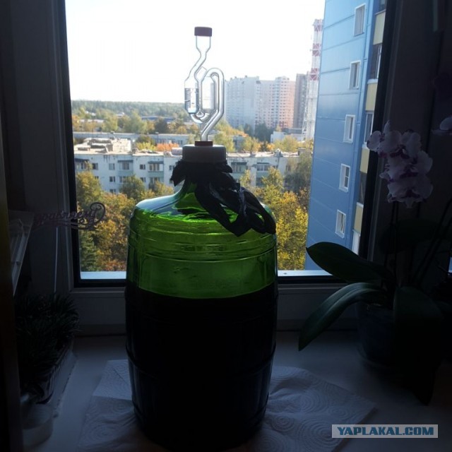Вопрос к профессиональным алкашам и виноделам со стажем