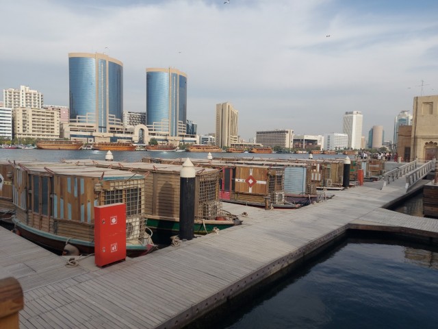 Дубайск в декабре