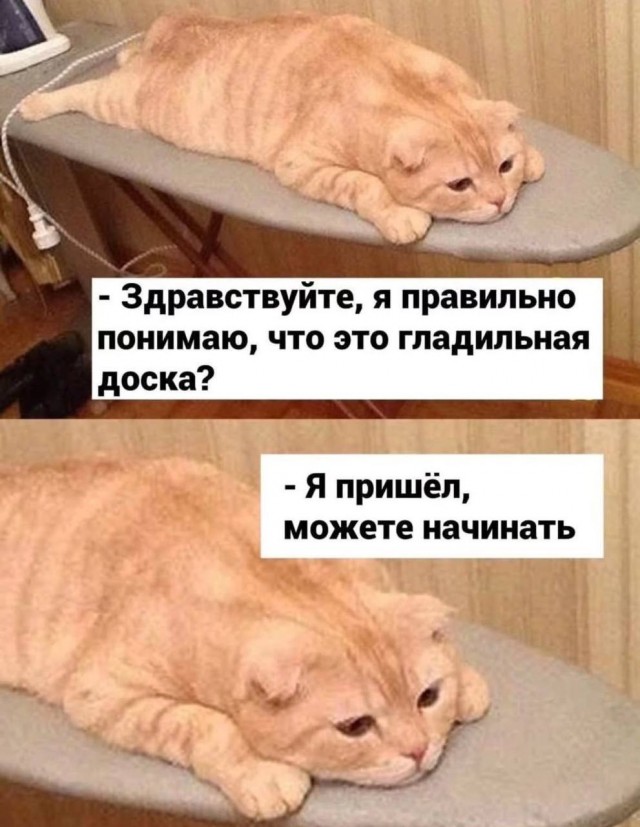 Вторника картинки